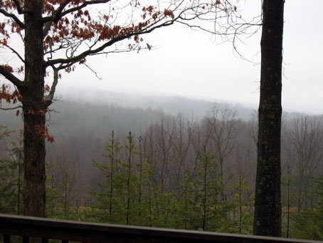 lanscape4.jpg